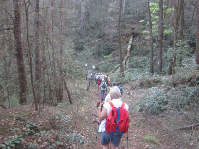 Another great day for a hike!