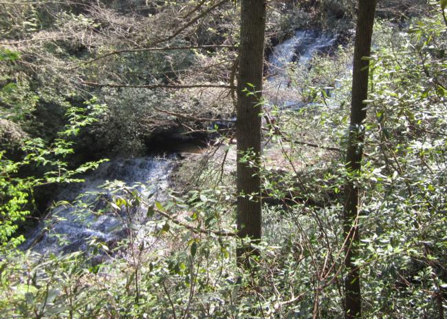 Lick Log Falls