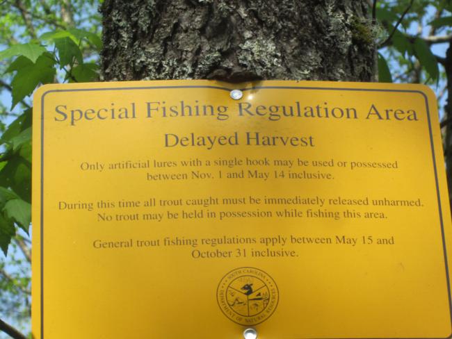 A special trout fishing regulated section of the river.