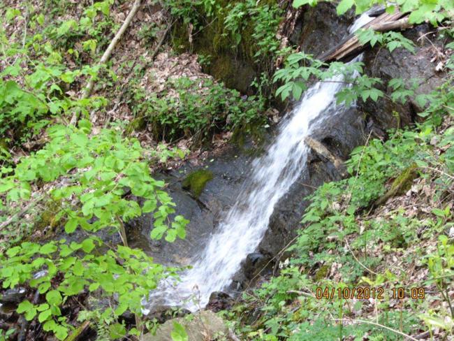 Early into the hike we cross a creek with waterfalls.