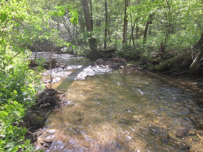 Wolf Creek was our lunchtime destination .