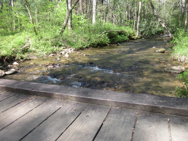 Looking upstream from the bridge.