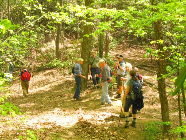 Another great day for a hike on the Bartram Trail!