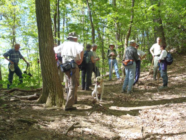 Taking a short break on this steep climb to Pinnacle Knob.