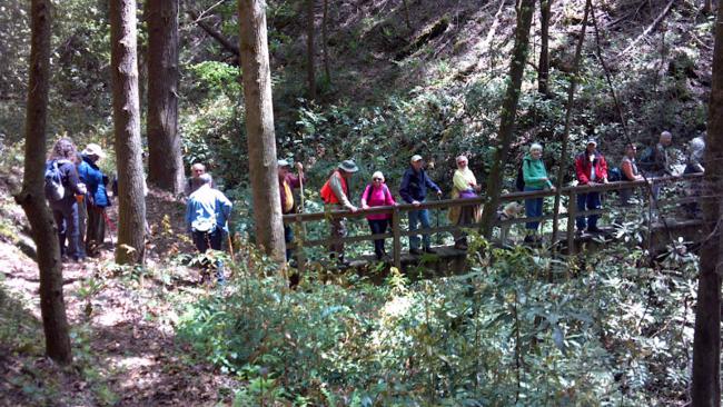 Another great day for a hike!