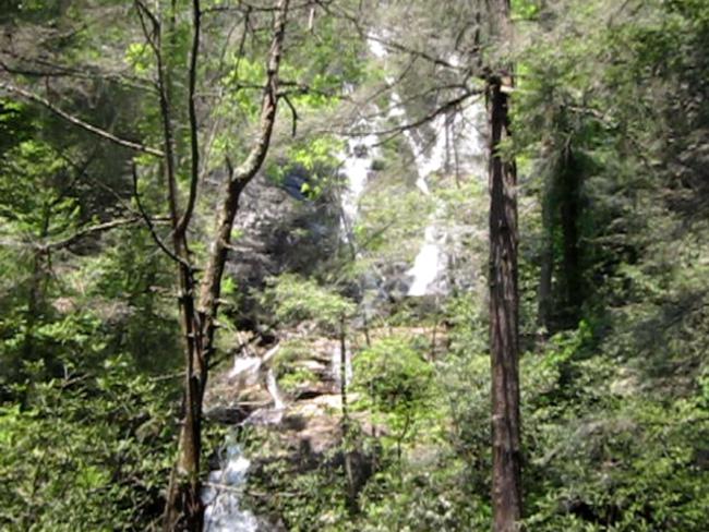 The left portion of Dukes Creek Falls!
