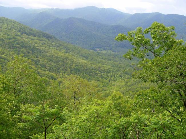 Awesome views from Wolf Rock!