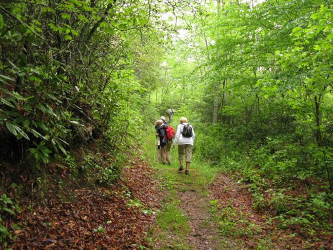 Another great day for a hike on the Bartram Trail!