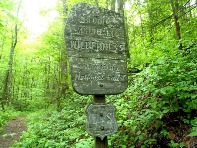 We enter the Blood Mountain Wilderness Area.