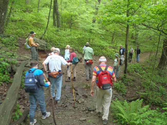 Here, we arrive at the Appalachian Trail and continue up to Blood Mt.