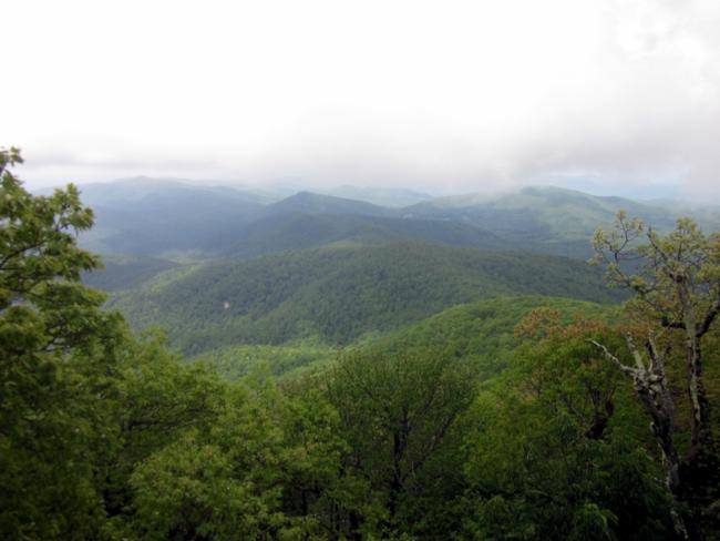 Beautiful views from the summit of Blood Mt.