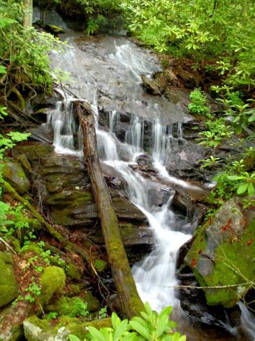A nice waterfall early into the hike.