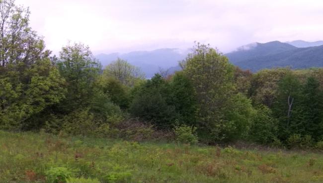 Looking down toward Nantahala Lake as we climb the slope.
