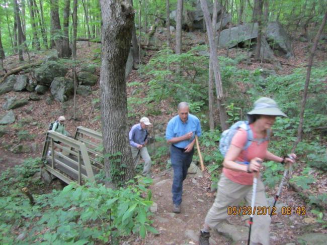 Headed to the summit of Yonah Mountain.