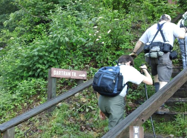 The trail starts up steps next to the Highlands highway.