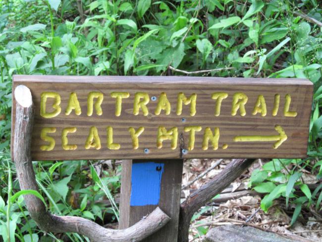 The sign at Hickory Knut Gap..