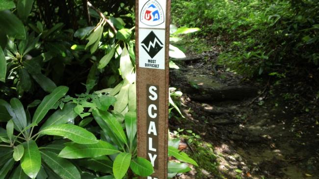 Back on the Bartram Trail to Scaly Mt.