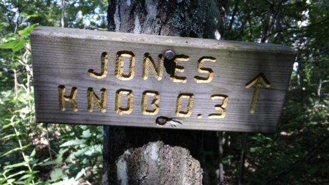 We took the side trail up to Jones Knob.