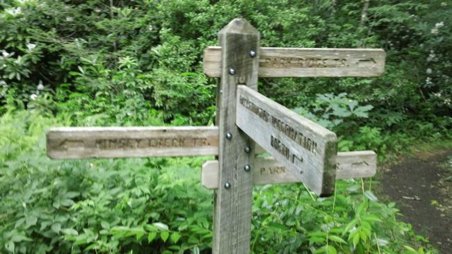 Lots of trail options to choose from.