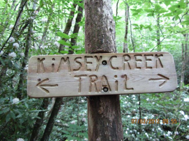 We chose the Kimsey Creek Trail up to Deep Gap on the A.T.