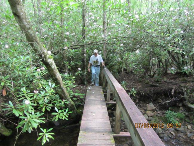 We cross several foot-bridges across creeks.