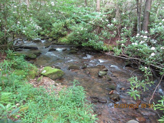 Another nice view along Kimsey Creek.
