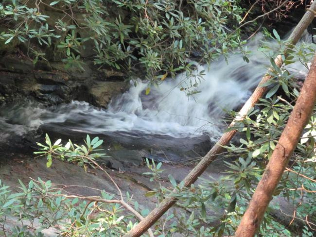 We are accompanied by the pleasing sounds of rushing water throughout the hike.