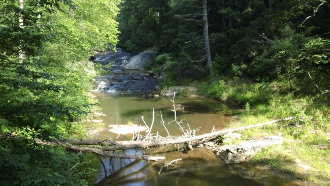 Pretty spot!