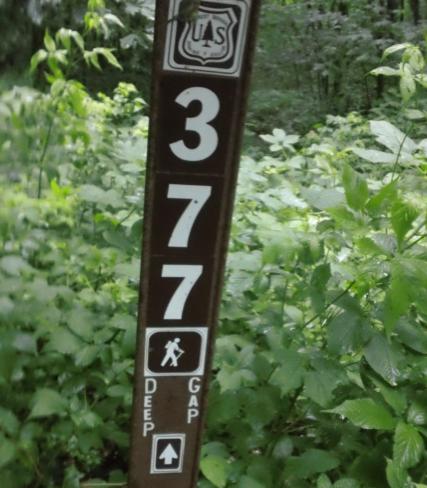 Sign at the start. Not sure what the 377 means. This is 83.3 miles from Springer Mt. start of the A.T.