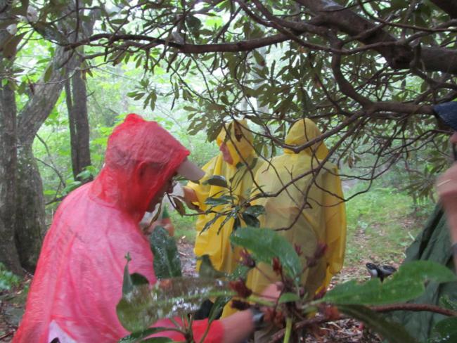 As we get closer to the summit of Standing Indian, we were surprised by a brief but vigorousstorm with thunder and pea-sized hail! see video
