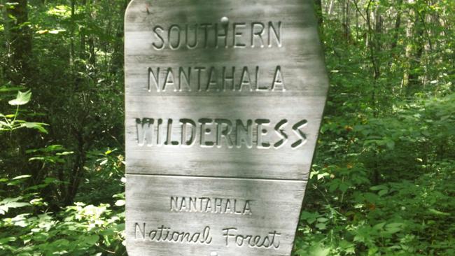 For the second week in a row we are in the Nantahala Wilderness Area.