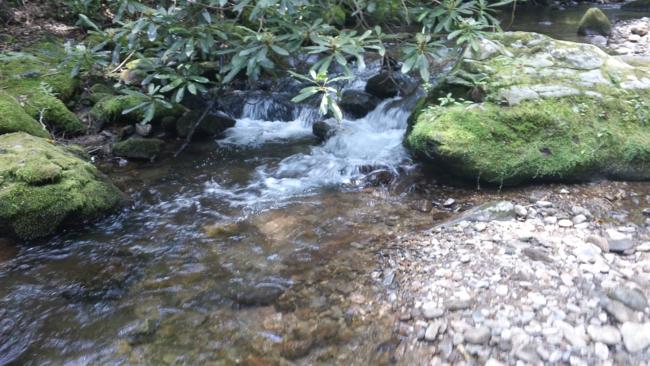 These are the upper headwaters of the Tallulah River that eventually becomes the Savannah River.