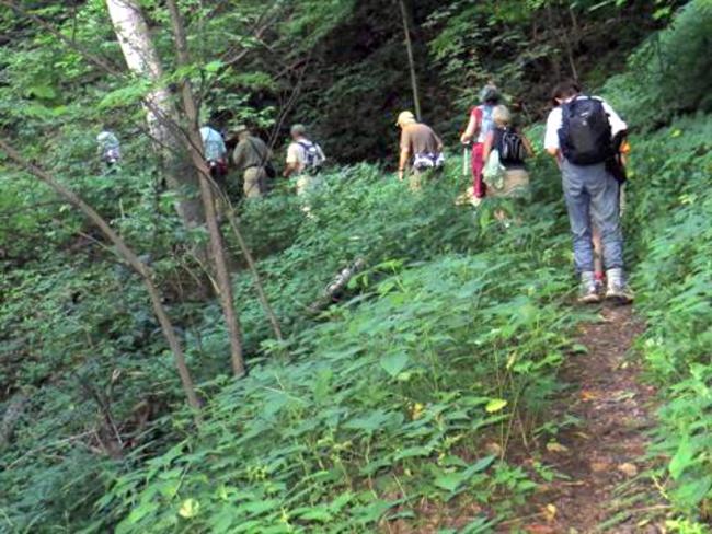 Working our way up the long incline to Case Knife Gap.