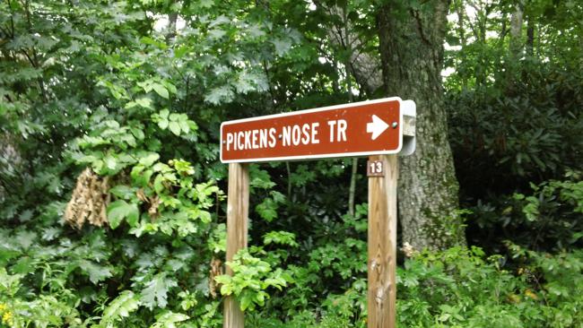 Our first trail today.
