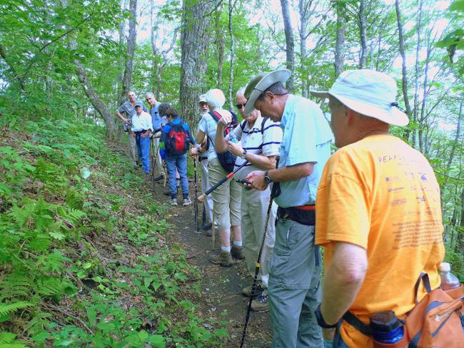 Headed up the Appalachian Trail!