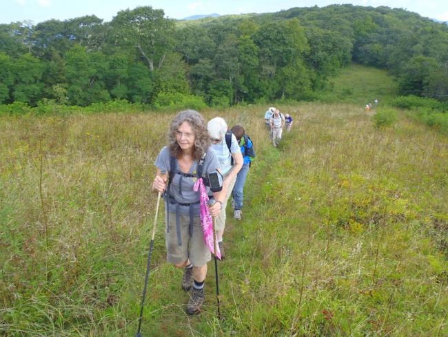 Climbing the grassy slope at Siler Bald.