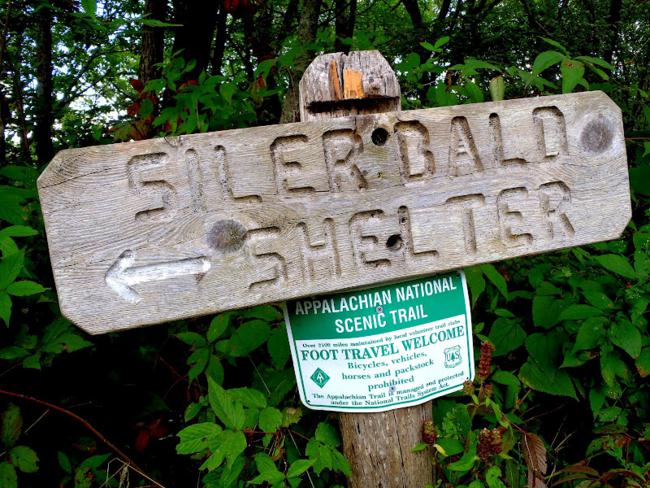 Next, we take the Siler Bald Shelter loop trail.
