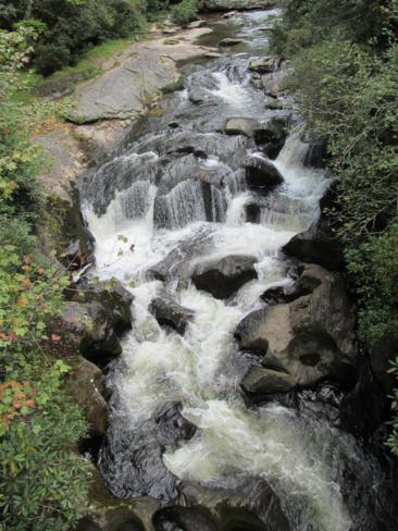 Awesome views of Chattooga River rapids from the bridge.