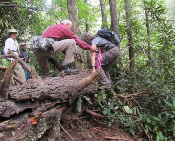 We encounter some difficult tree-falls.!