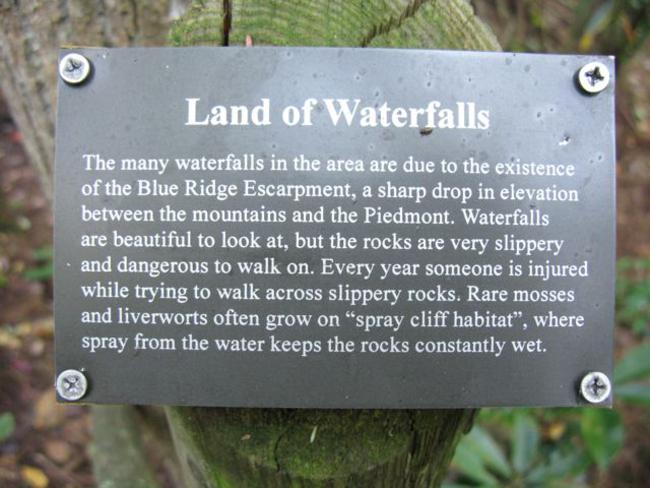 The loop trail is a nature trail with lots of signage.