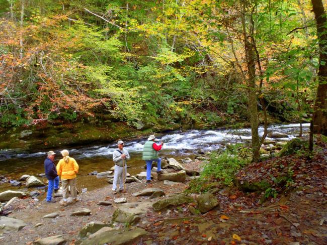 Lots of beautiful spots along Deep Creek!
