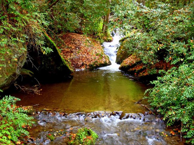 This creek runs into Deep Creek.