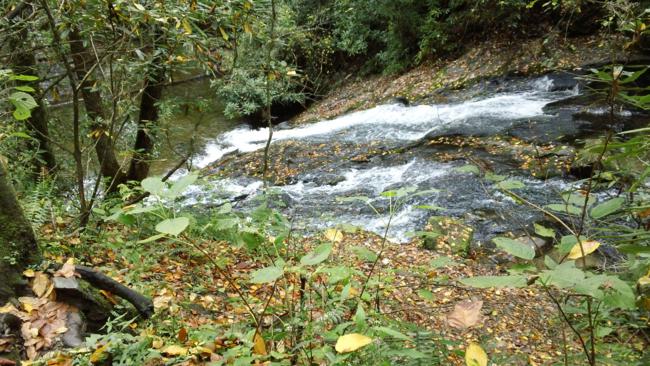 Indian Creek Falls viewed from above.