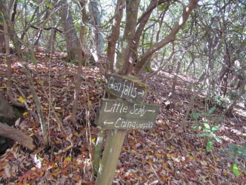 Trail junction on the way to Chinquapin Mt.