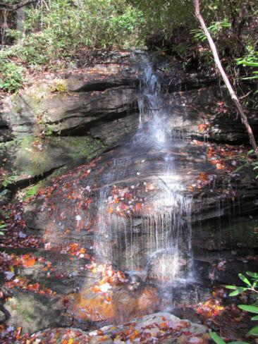 Pretty waterfalls early into the hike.