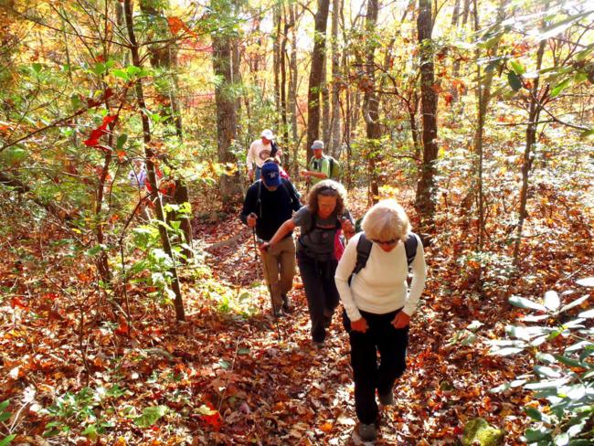 Working our way up the hills toward Rabun Bald.
