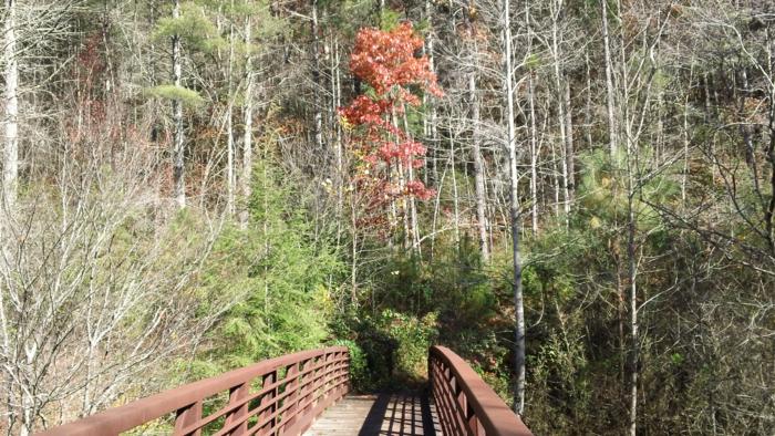 Early into the hike we come to the footbridge over the West Fork Chattooga River.