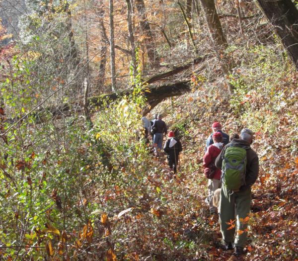 15 hikers enjoyed this beautiful hike.