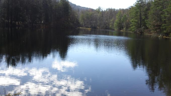 Beautiful Dockery Lake!