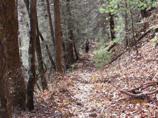 A beautiful woodland mountain trail.